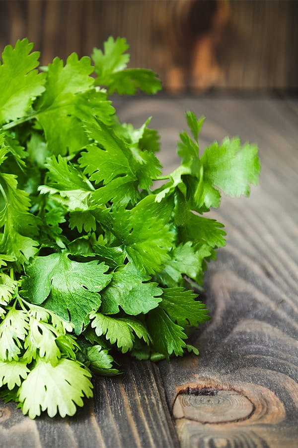 La cordiande, culture et origines