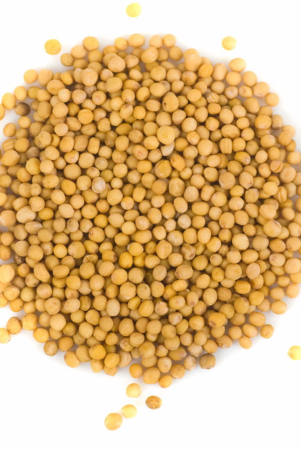 LES GRAINES DE MOUTARDE