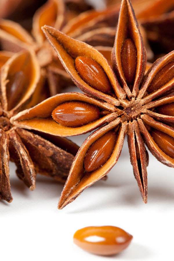 L’ANIS ÉTOILÉ (BADIANE)