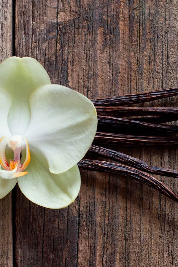 LES GOUSSES DE VANILLE