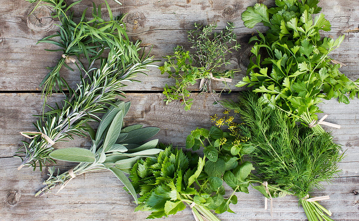 Geschmack, der zusammenpasst – Teil 2: Rosmarin, Thymian, Petersilie und Salbei
