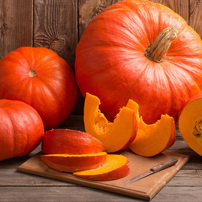 Kürbisterrine auf Sprossensalat